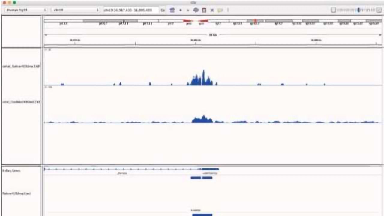 Comparing Sensitivity & Efficiency of N-ChIP-seq and X-ChIP-seq kits
