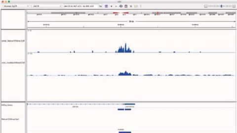 Comparing Sensitivity & Efficiency of N-ChIP-seq and X-ChIP-seq kits