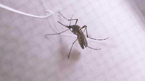 Assembling a Human Genome for Under $10,000