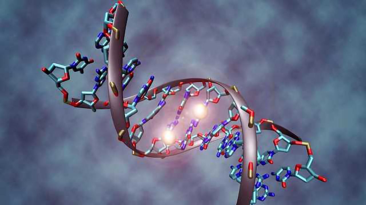 A Third of Suspect Mutations in ASD Just “Noise”