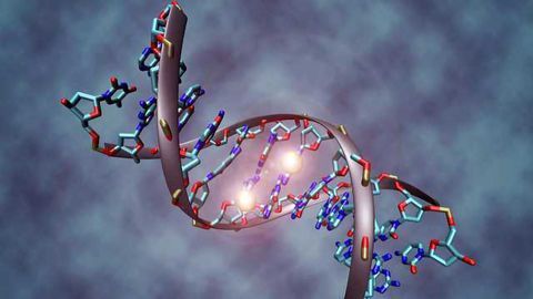 A Third of Suspect Mutations in ASD Just “Noise”
