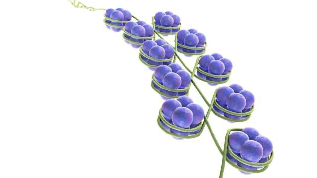 Epigenetics Plays a Major role in Breast Cancer Resistance