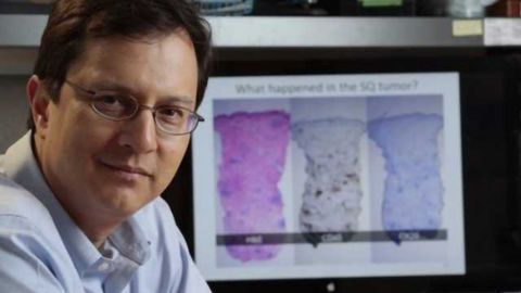 First Therapeutic Approved for Rare Skin Cancer