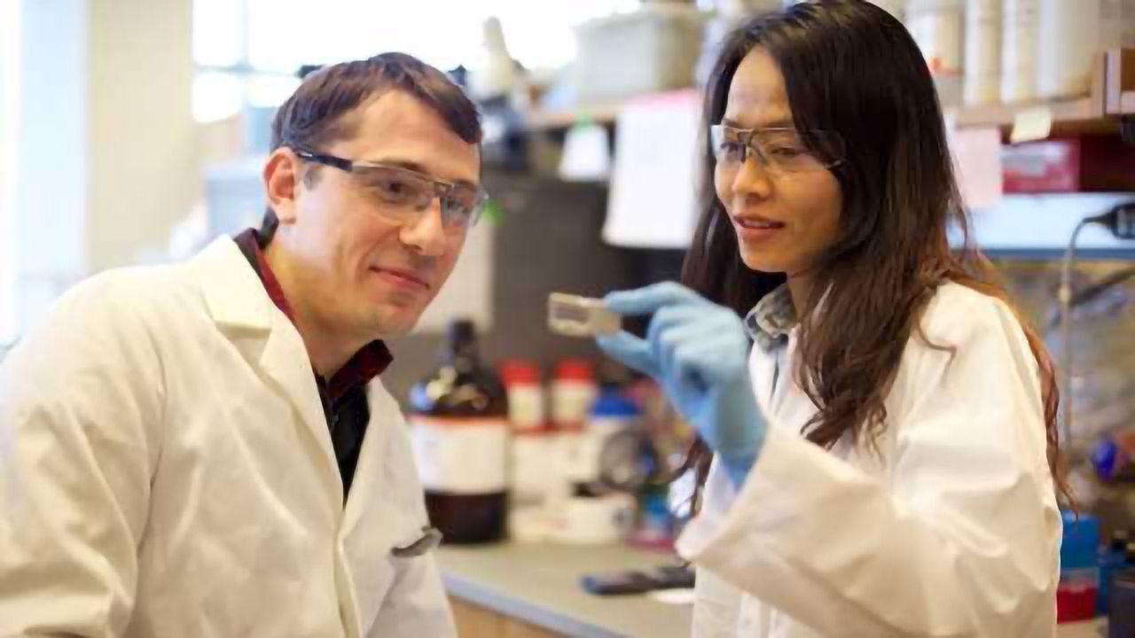 Detecting DNA Damage from Carcinogenic Fungi