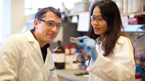 Detecting DNA Damage from Carcinogenic Fungi
