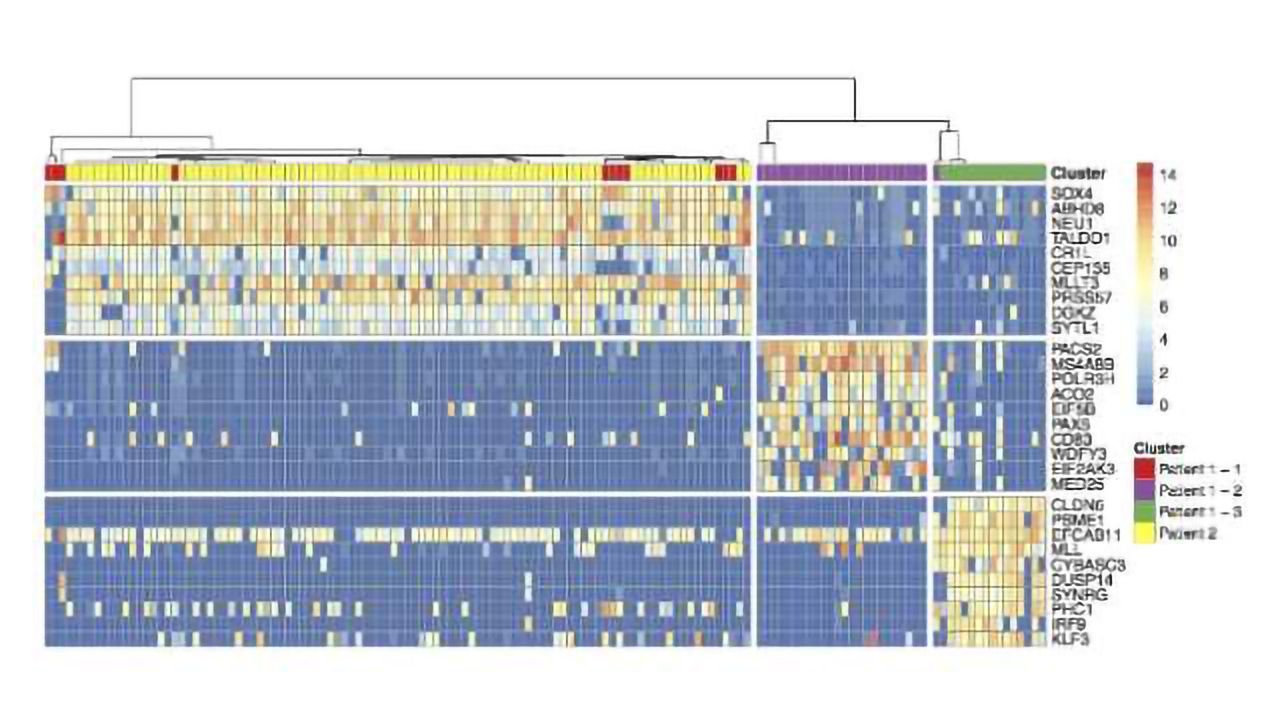 Tracking Cancer Genetics at the Single Cell Level