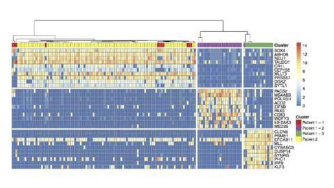 Tracking Cancer Genetics at the Single Cell Level