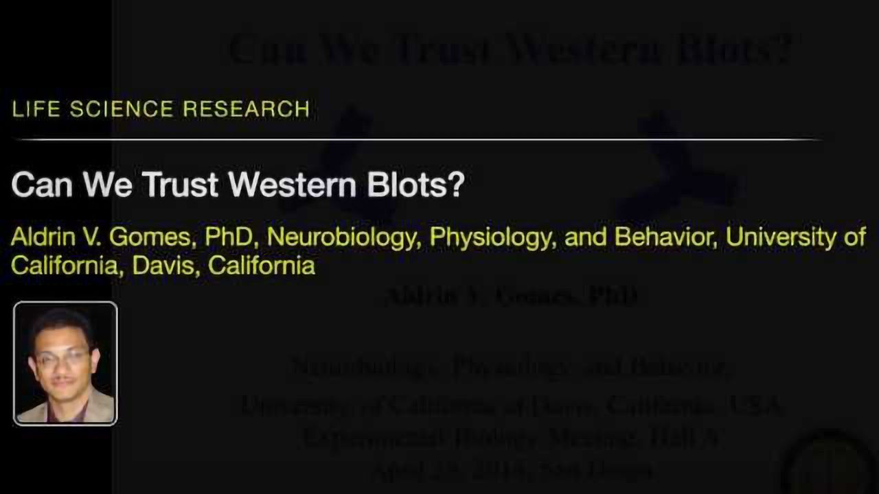 Can We Trust Western Blots?