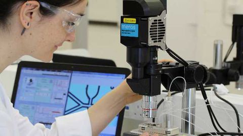 Dolomite Bio Celebrates a Successful First Year