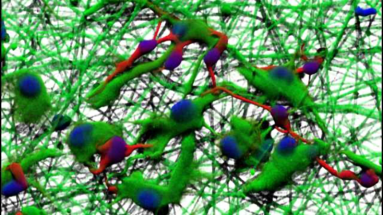 Cells Grow More Naturally in “Spaghetti”