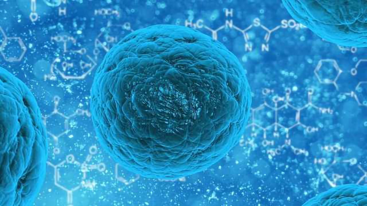 Stem Cells in Drug Discovery