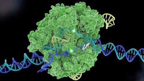 EPO to Grant Historic CRISPR Patent