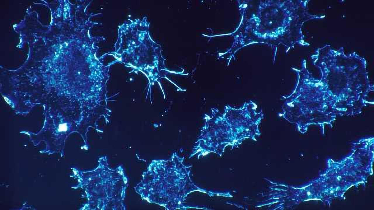 Death Mechanism Self-eradicates Duplicating Cancer Cells
