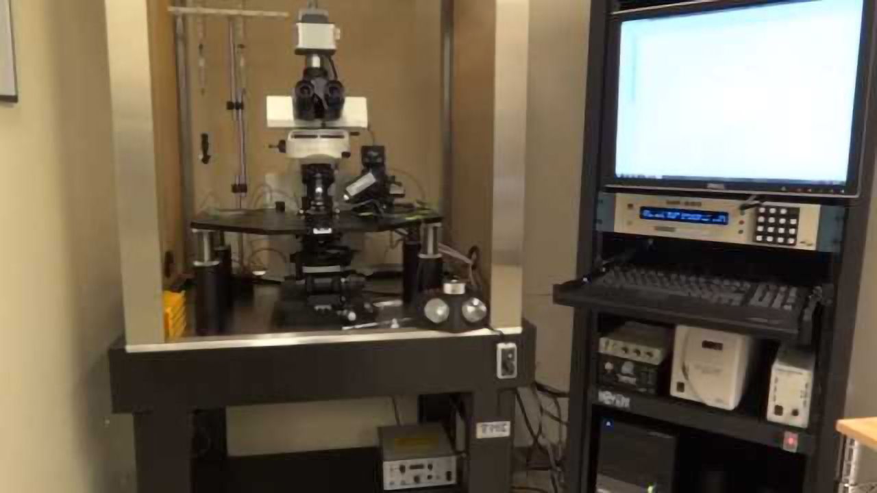 Electrophysiology Patch-Clamp Equipment: The Very Basics (Part 1)