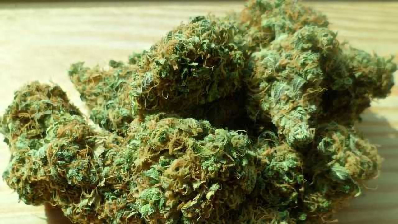 What Gives Cannabis its Flavour?