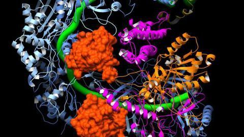 A Molecular On/Off Switch for CRISPR