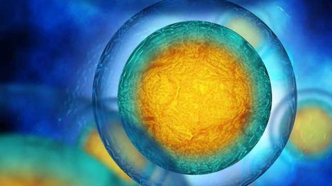 Stopping Age-related DNA Damage