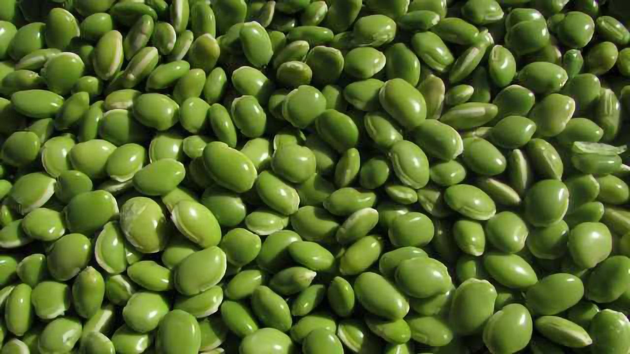 Eating Legumes Lowers Diabetes Risk