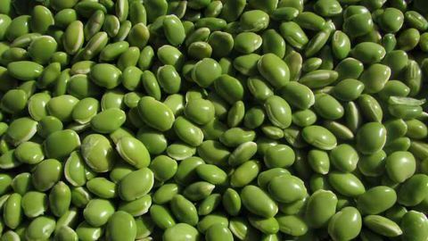 Eating Legumes Lowers Diabetes Risk