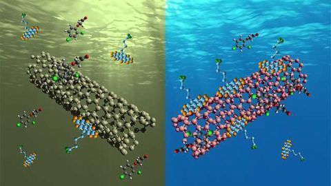 Reusable Carbon Nanotubes: Water Filter of the Future?