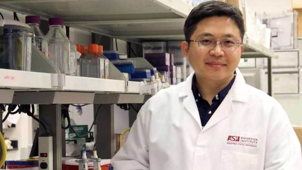 New Blood Test for TB Developed
