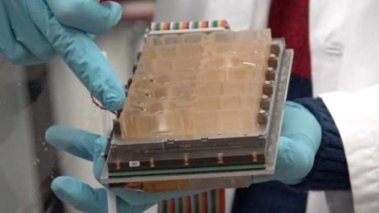 Female Reproductive Tract Recreated on a Chip