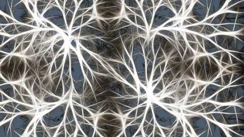 NeuroCDRD: Development Platform for Neurological Disease Therapies