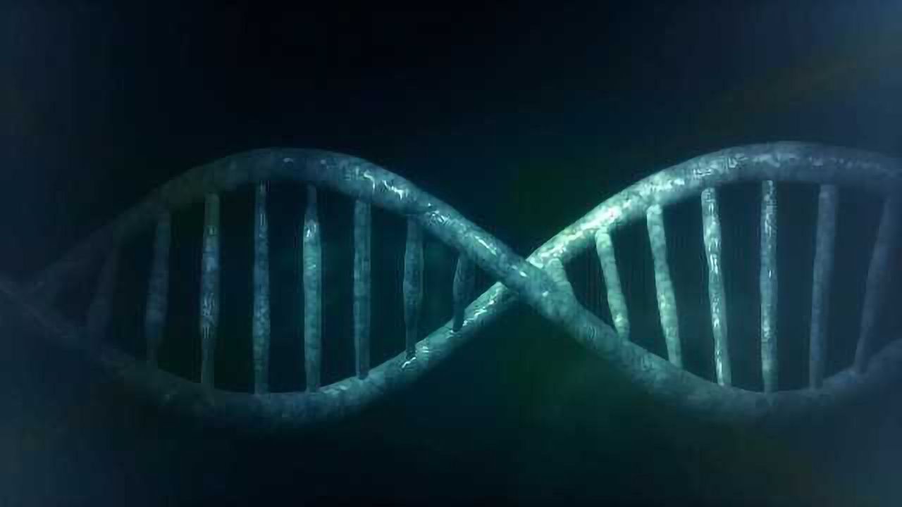 Making Personalized Cancer Care a Reality
