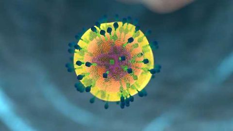 Patients’ Immune System May Impact Cancer Immunotherapy