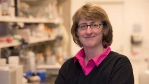Proteomics Used to Target Tumours