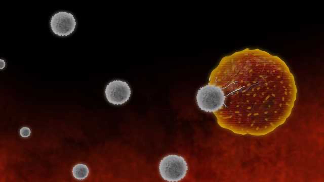 Giving Immunotherapies the Green Light to Attack