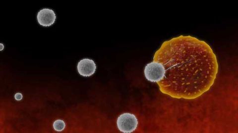 Giving Immunotherapies the Green Light to Attack