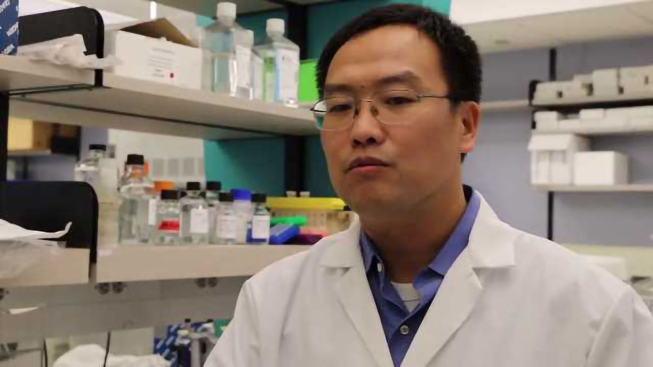 Exploiting the Tumor Microenvironment to Enhance Cancer Treatment