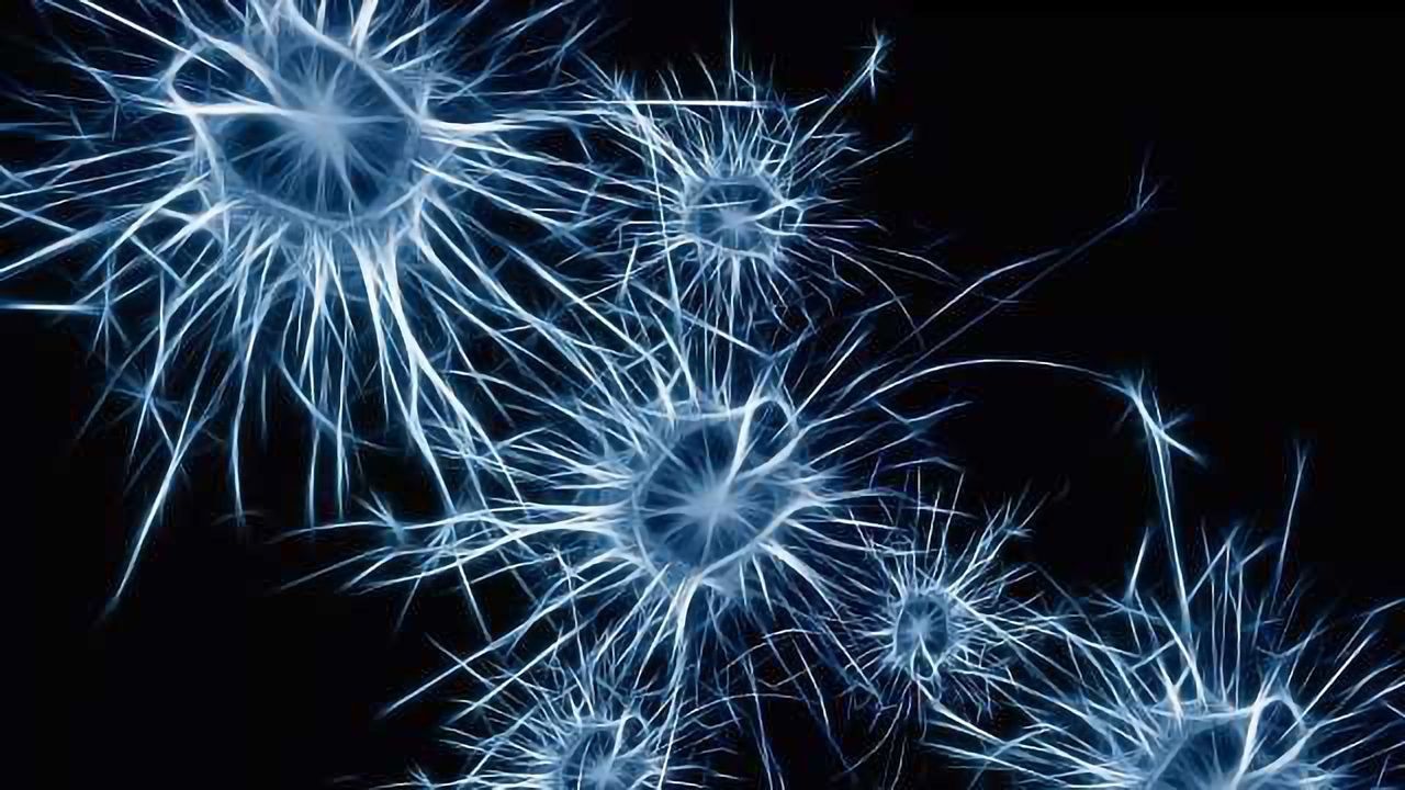 Gene Linked to Intellectual Disability, Autism and Schizophrenia