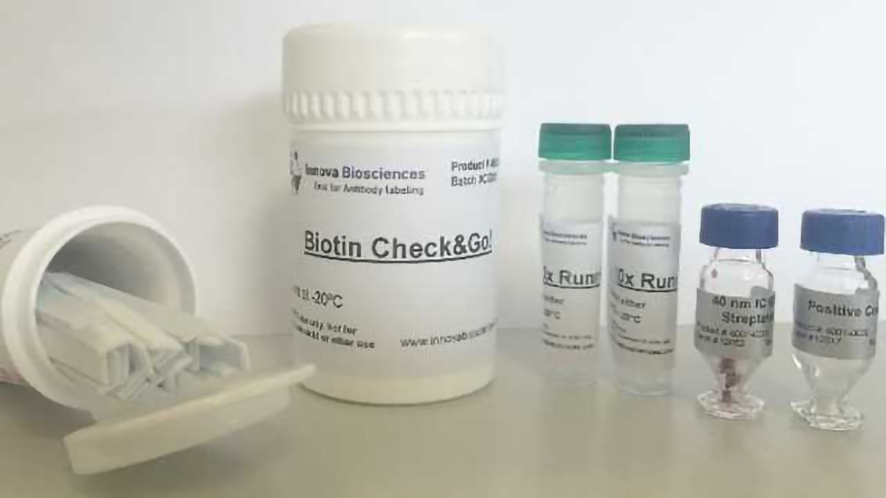 Introducing the Biotin Check&Go! Kit for Confirming Successful Antibody-biotin Conjugation