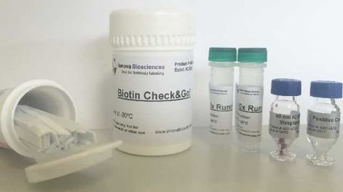Introducing the Biotin Check&Go! Kit for Confirming Successful Antibody-biotin Conjugation
