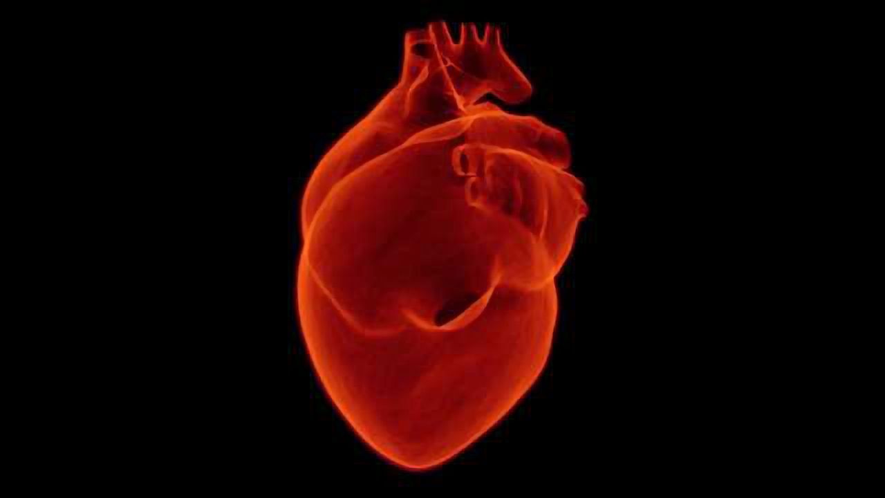 New Blood Test Rapidly Diagnoses Heart Attacks