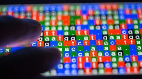 Illumina, Analytik Jena Partner on Ultra-High Throughput Genotyping