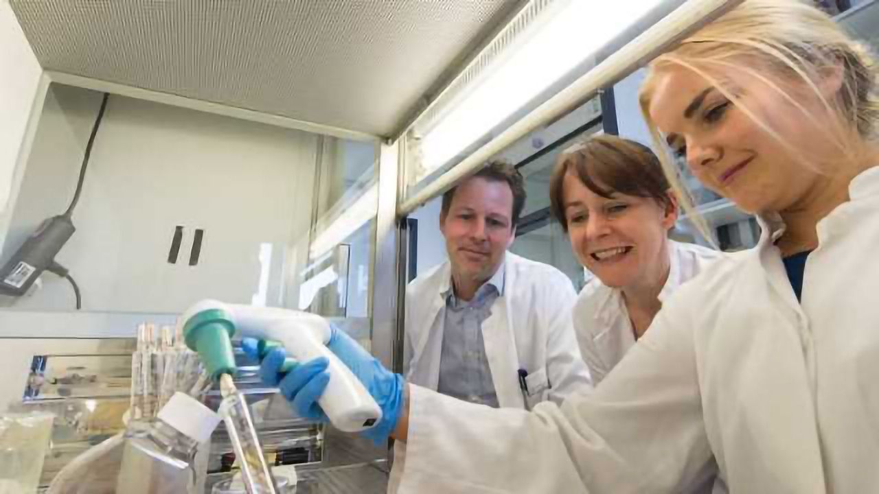 'Mini Brains' Developed to Study Miller-Dieker Syndrome