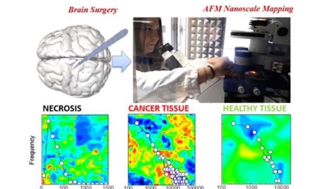 Understanding How Cells Sense and Respond to Mechanical Stimuli