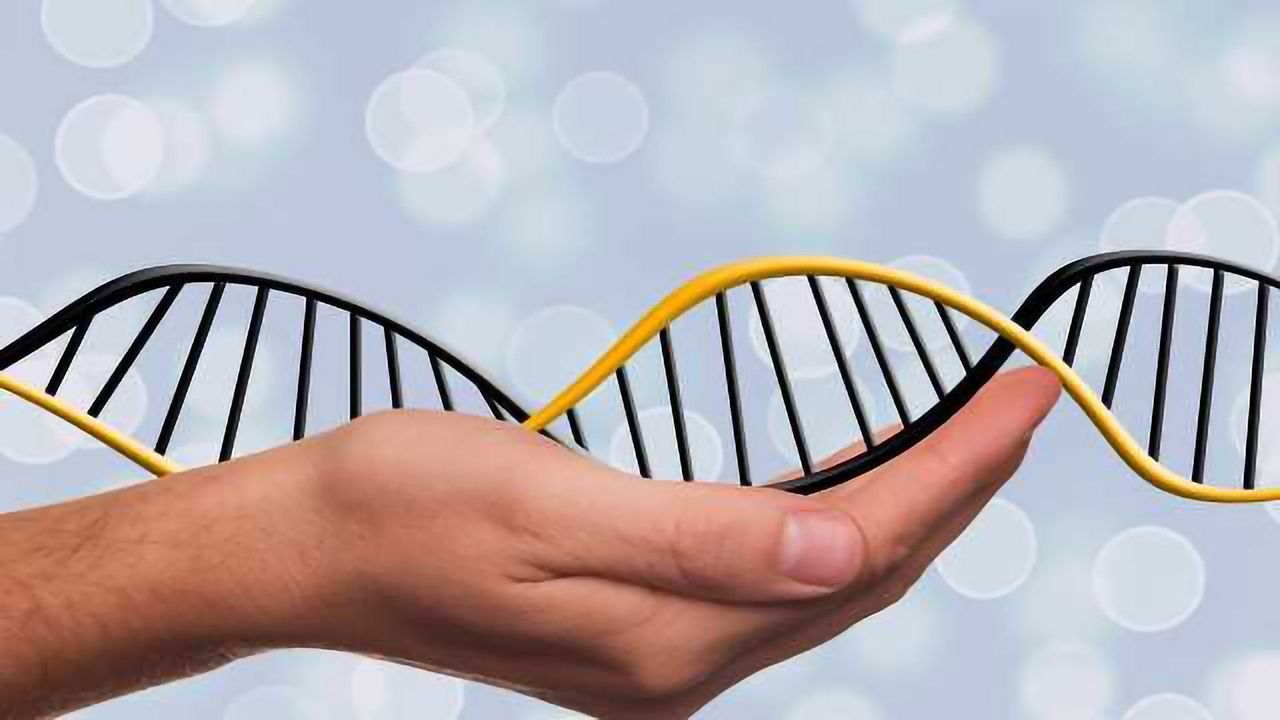 Bionano Genomics Announces Immediate Availability of New Suite of Genomic Analysis Tools