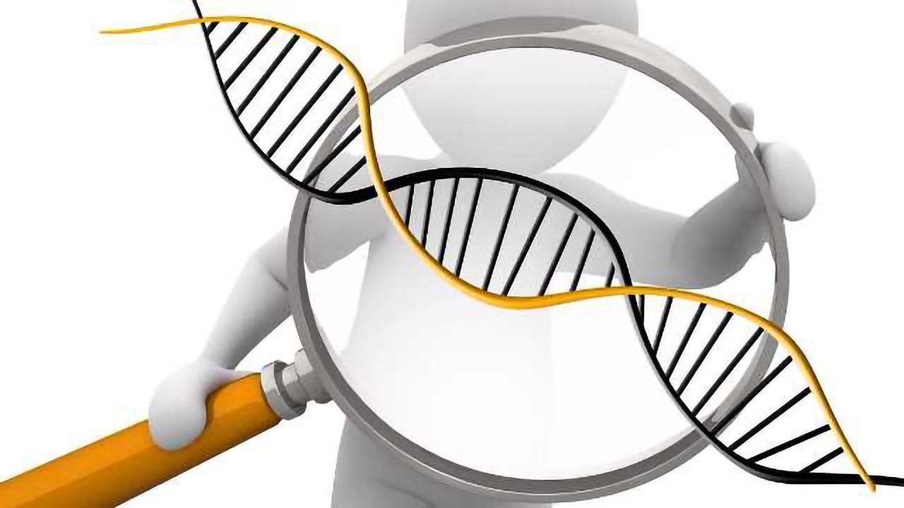 New Biotransformation Solutions for Metabolism and Biologic Catabolism Studies