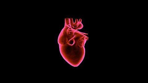 Heart Attacks Diagnosed Faster with New Blood Test