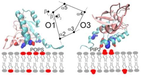 Turning Cancer-causing Proteins Off