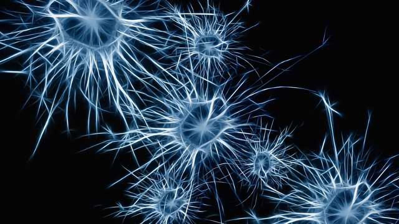 Uncoordinated Firing of Brain Cells Linked to Schizophrenia in Mice