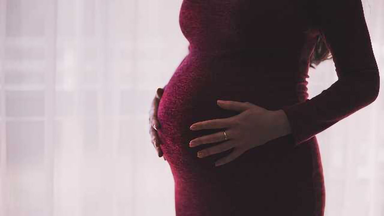 High Fat and Sugar Diet Causes Metabolic Impairments in Pregnancy