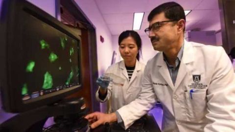 Cancer Hijacks Immature Immune Cells to Aid its Spread