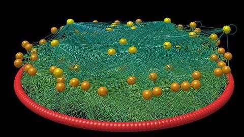 Food Webs Show Complex Relationship Between Humans, Animals and the Environment