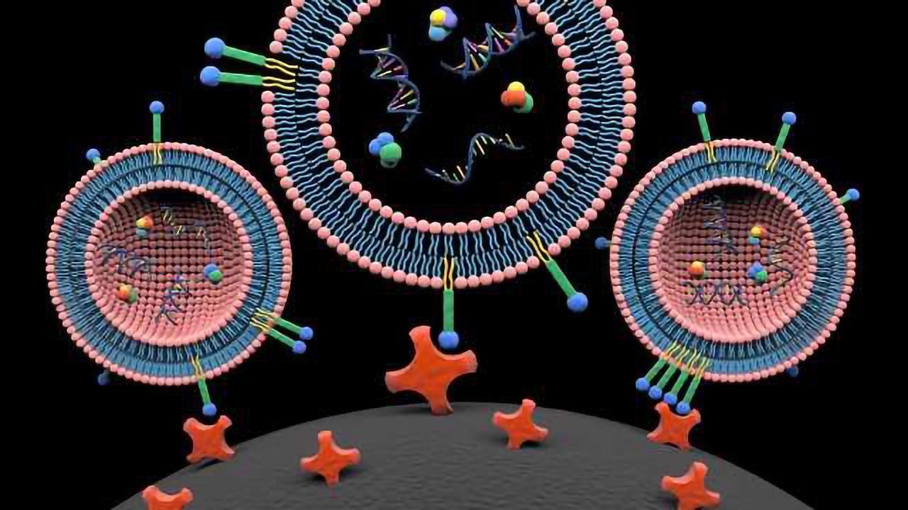 Fast Capture of Extracellular Vesicles Enables Precision Cancer Diagnoses