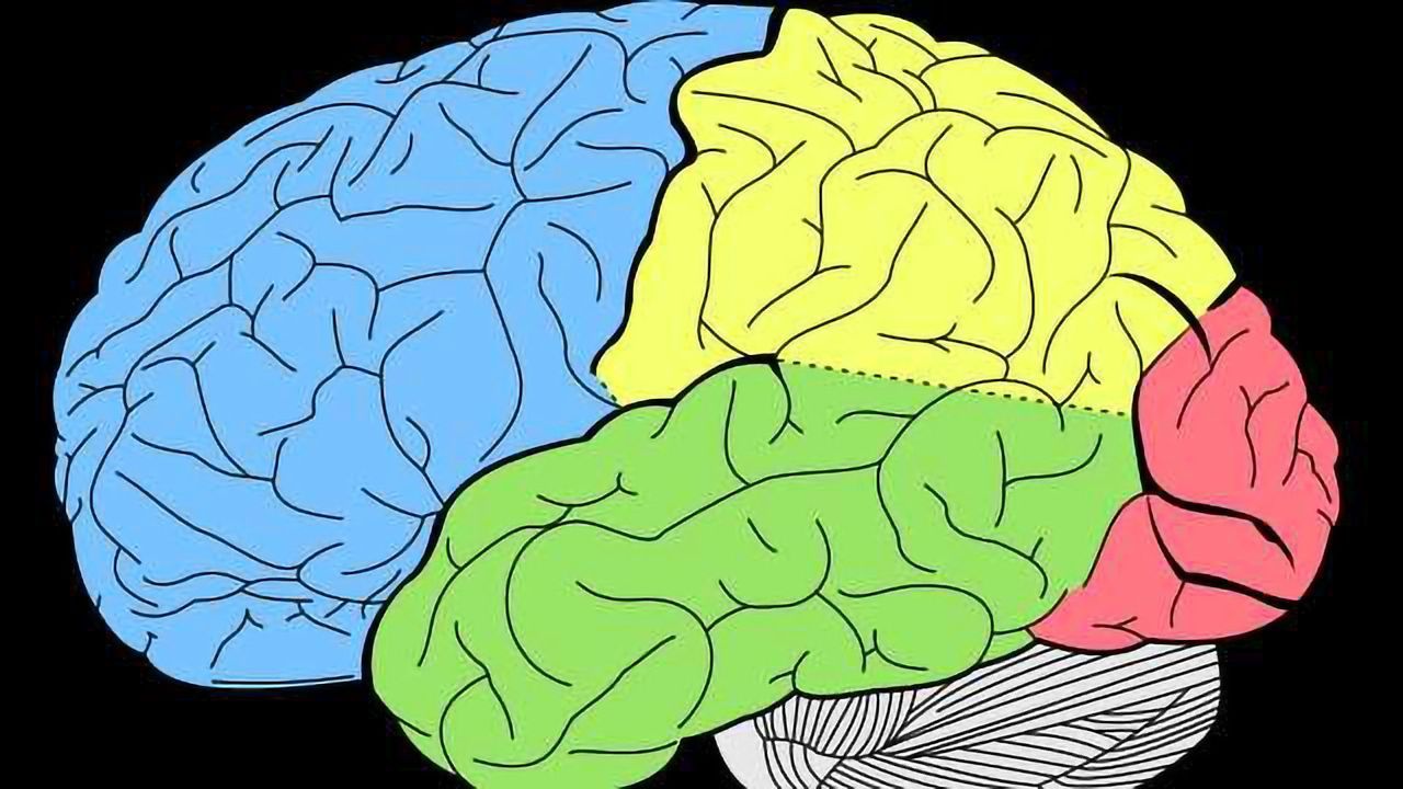Gene Mutation Causes Incurable Involuntary Movement Disorder
